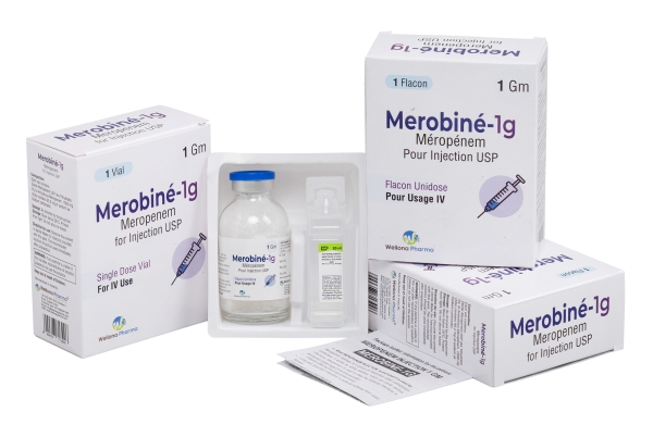 Meropenem 1gm Injection