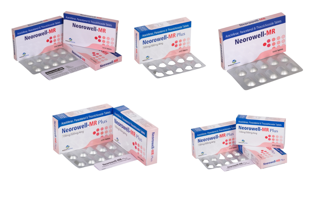 Wellona Pharma: Leading the Way in Abiraterone Acetate Tablets Manufacturing and Export